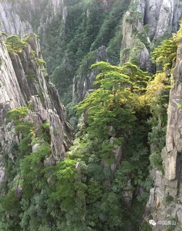 超大城市